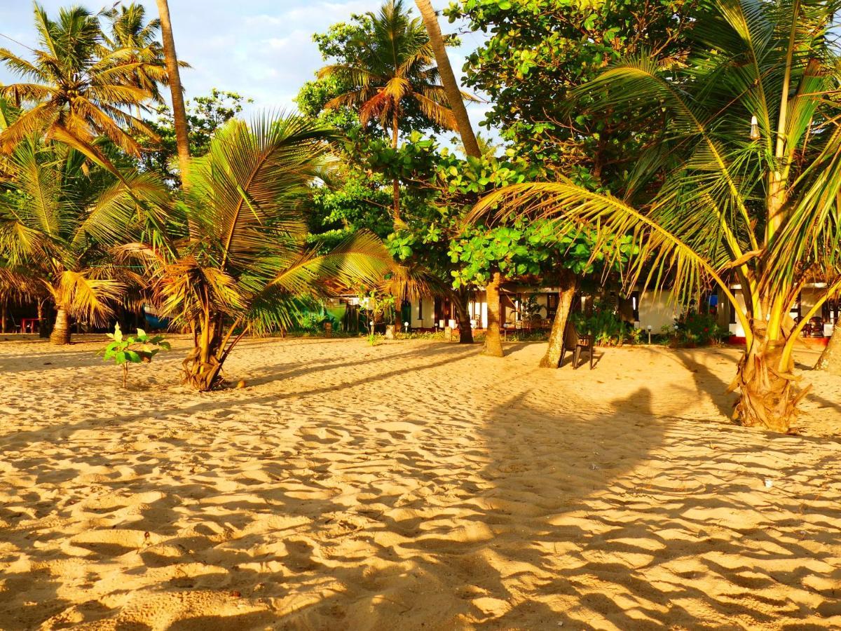 Marari Sealap * Mararikulam